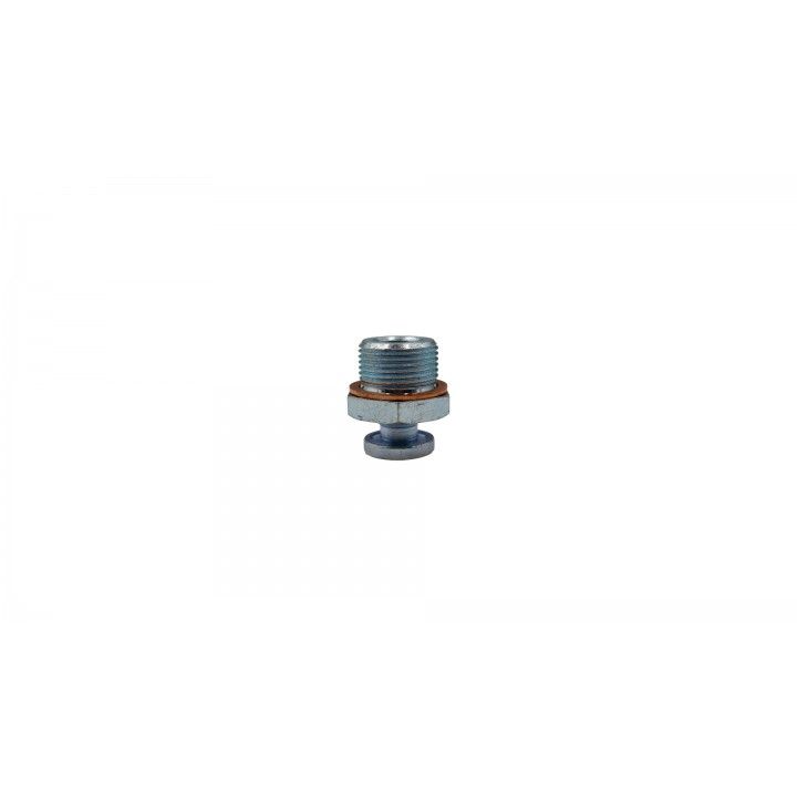 1x TAPN ACEITE M22x1.5MM