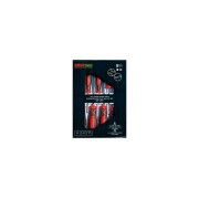 KIT DESTORNILLADORES  PLANO Y PHILIPS 08pcs