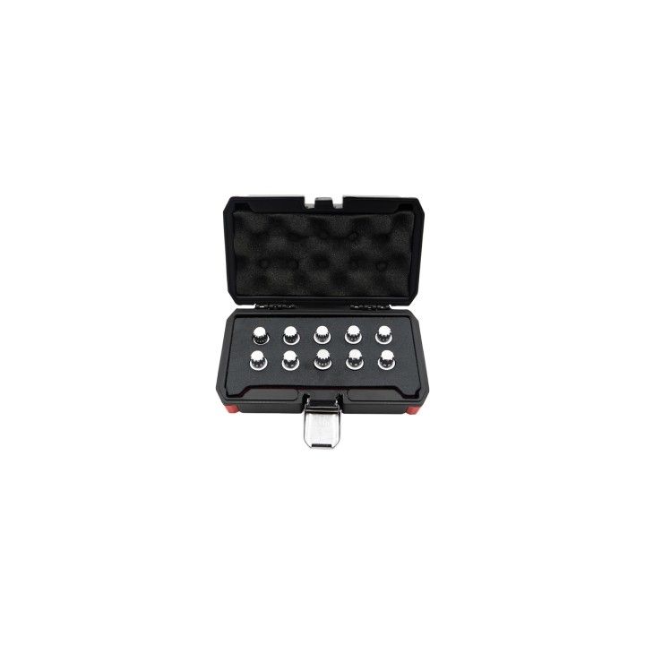 BMW RIBE BITS SET 10PCS